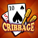 Cribbage Premium App Icon