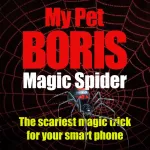 Magic Spider App icon