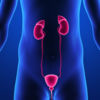 Human Urinary System Quiz iOS icon